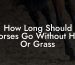 How Long Should Horses Go Without Hay Or Grass
