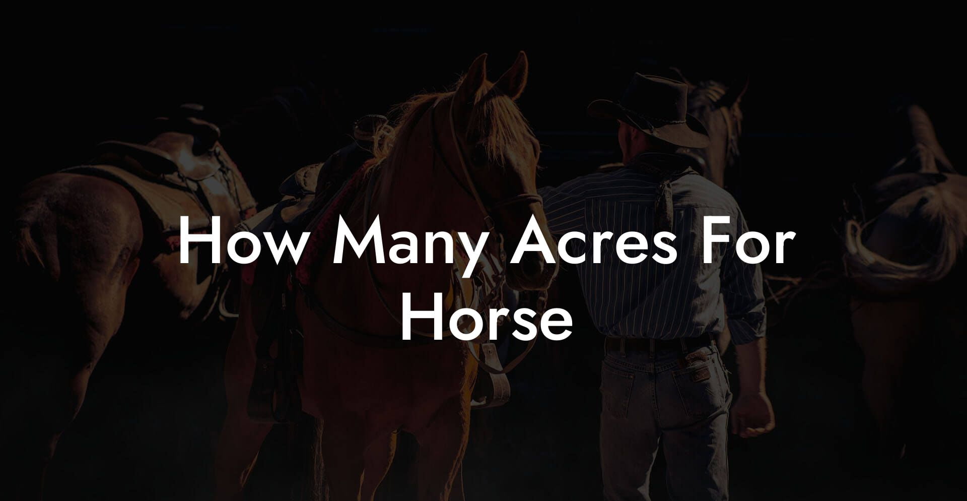 How Many Acres For Horse