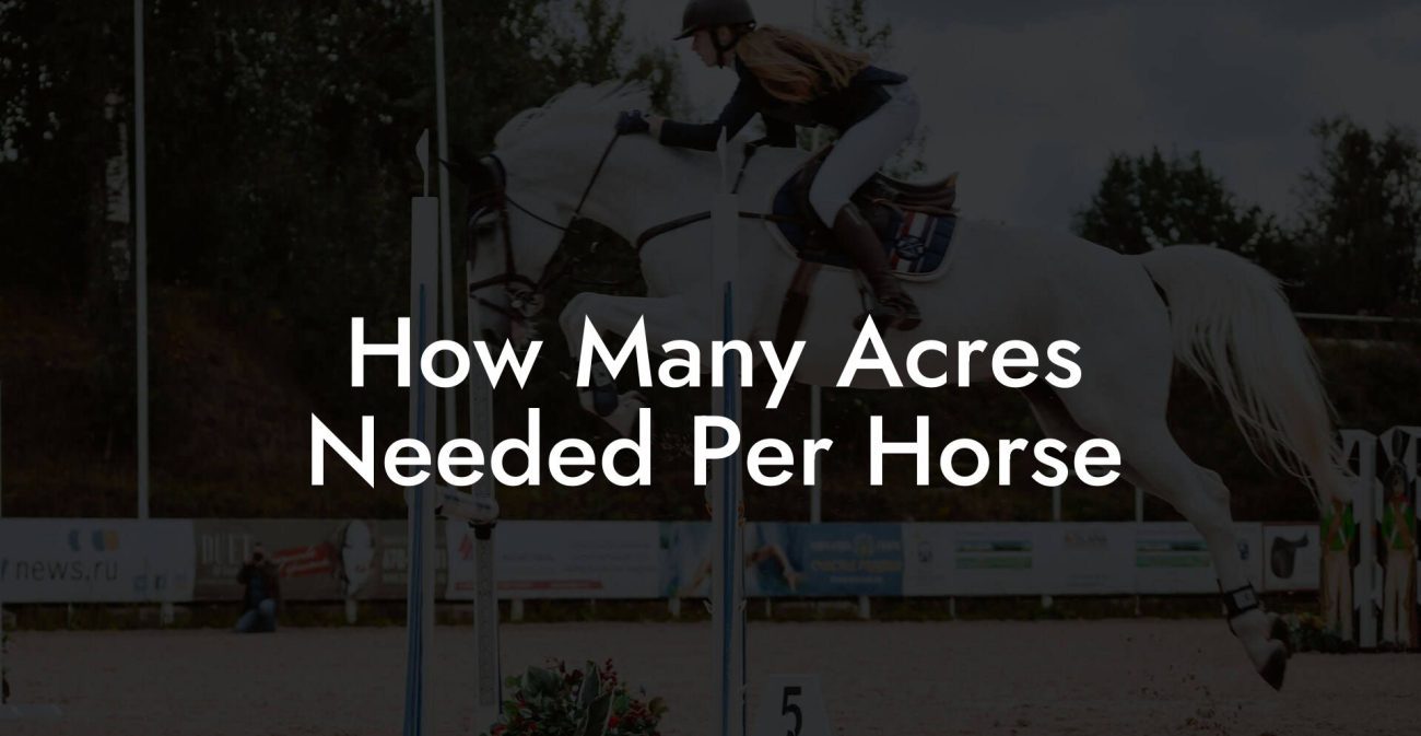 How Many Acres Needed Per Horse