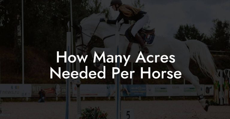 how-many-acres-needed-per-horse-how-to-own-a-horse