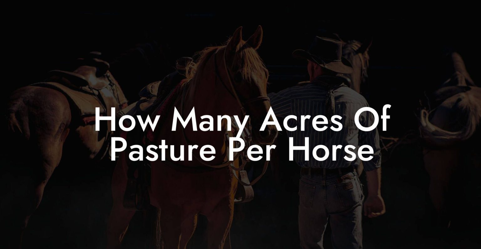 How Many Acres Of Pasture Per Horse How To Own a Horse