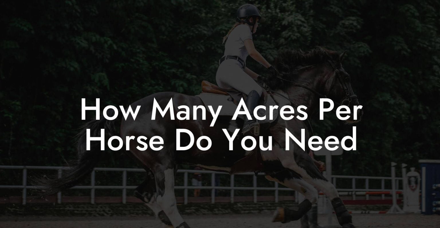 How Many Acres Per Horse Do You Need How To Own a Horse