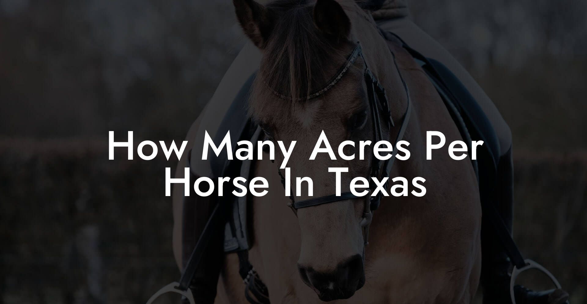 How Many Acres Per Horse In Texas