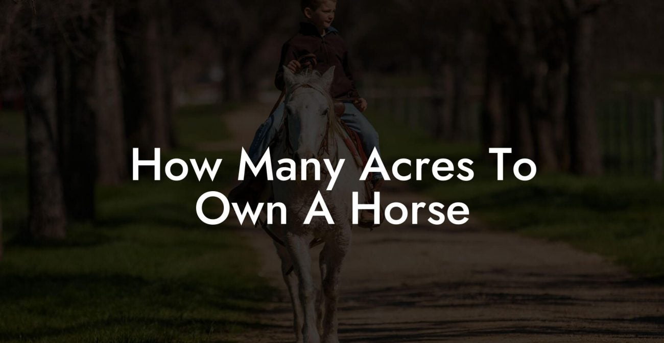 How Many Acres To Own A Horse