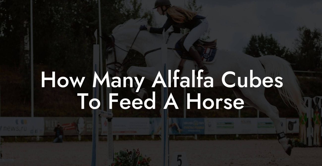 How Many Alfalfa Cubes To Feed A Horse