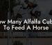 How Many Alfalfa Cubes To Feed A Horse