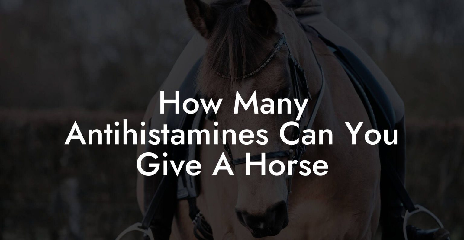 How Many Antihistamines Can You Give A Horse How To Own a Horse