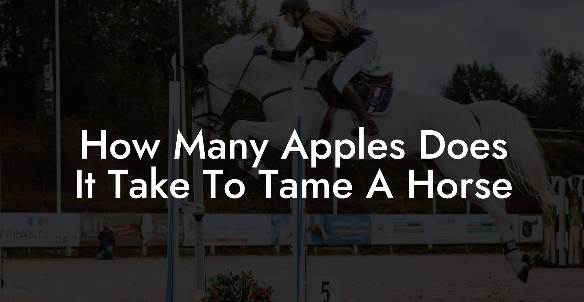 How Many Apples Does It Take To Tame A Horse