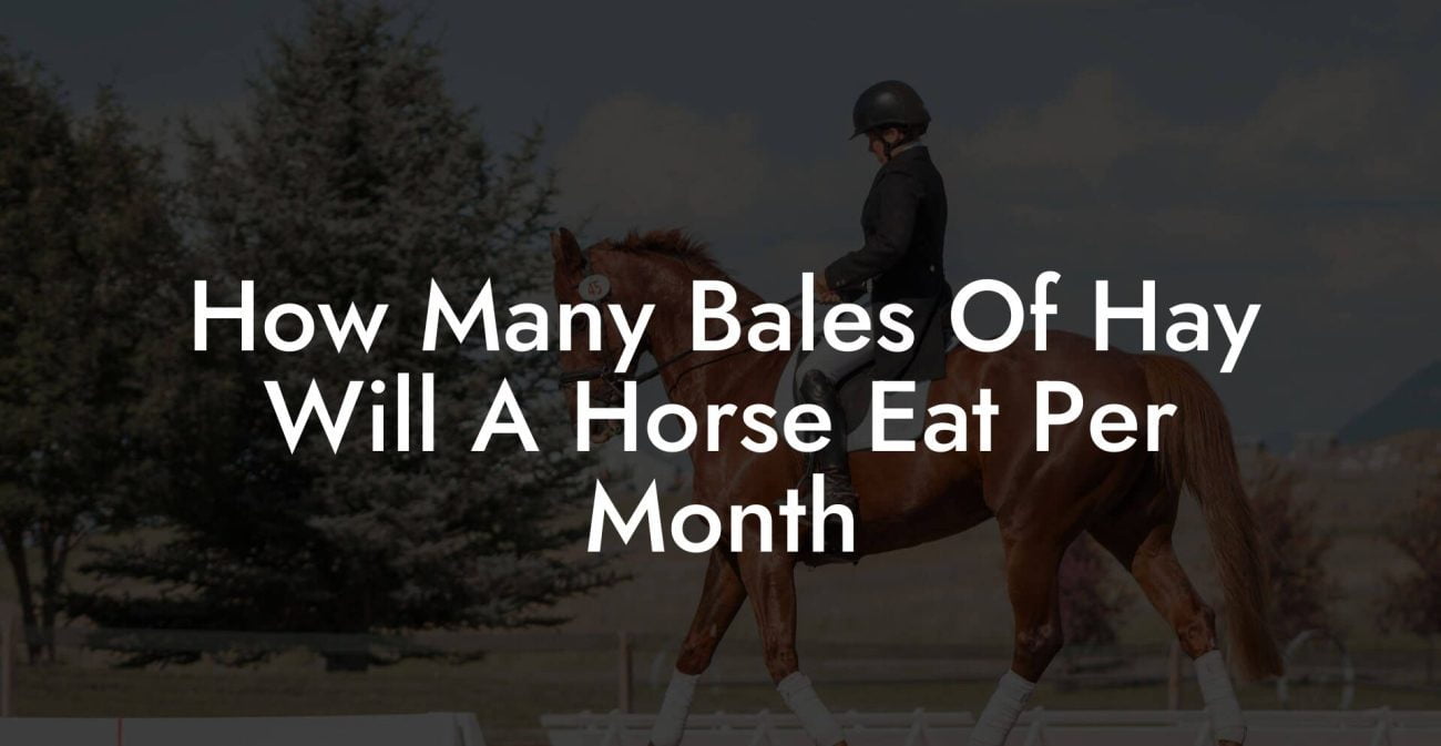 How Many Bales Of Hay Will A Horse Eat Per Month