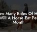 How Many Bales Of Hay Will A Horse Eat Per Month