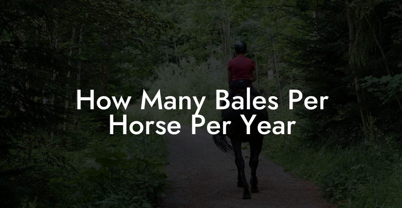 How Many Bales Per Horse Per Year