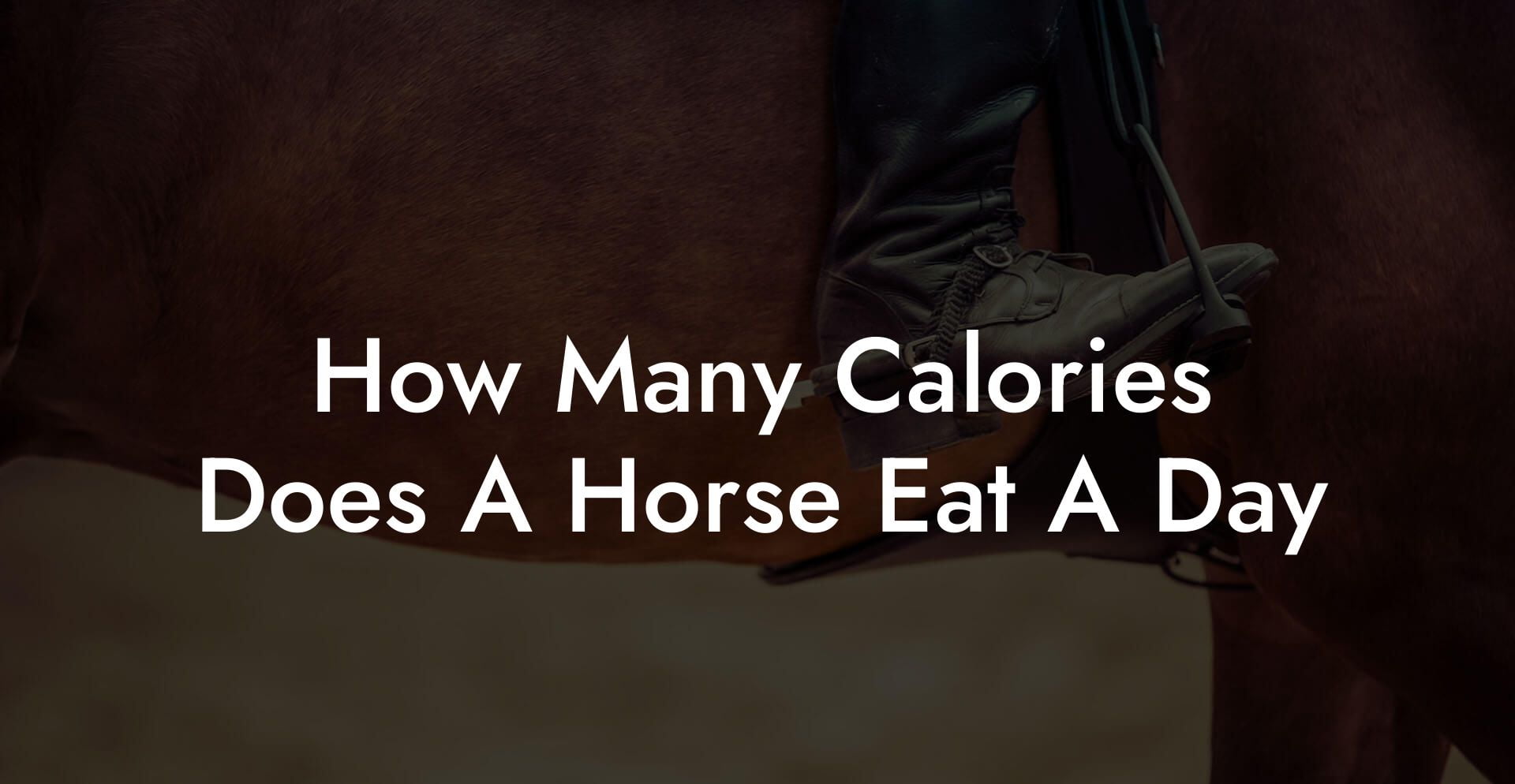 How Many Calories Does A Horse Eat A Day