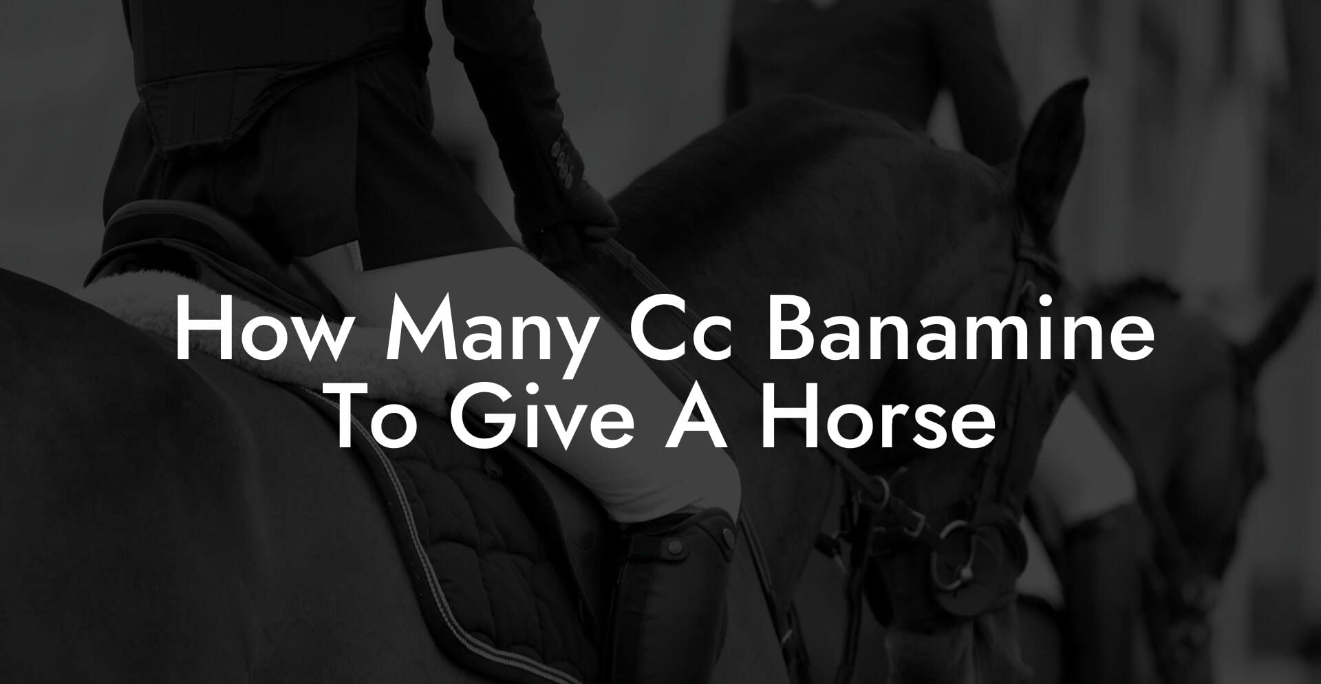 How Many Cc Banamine To Give A Horse