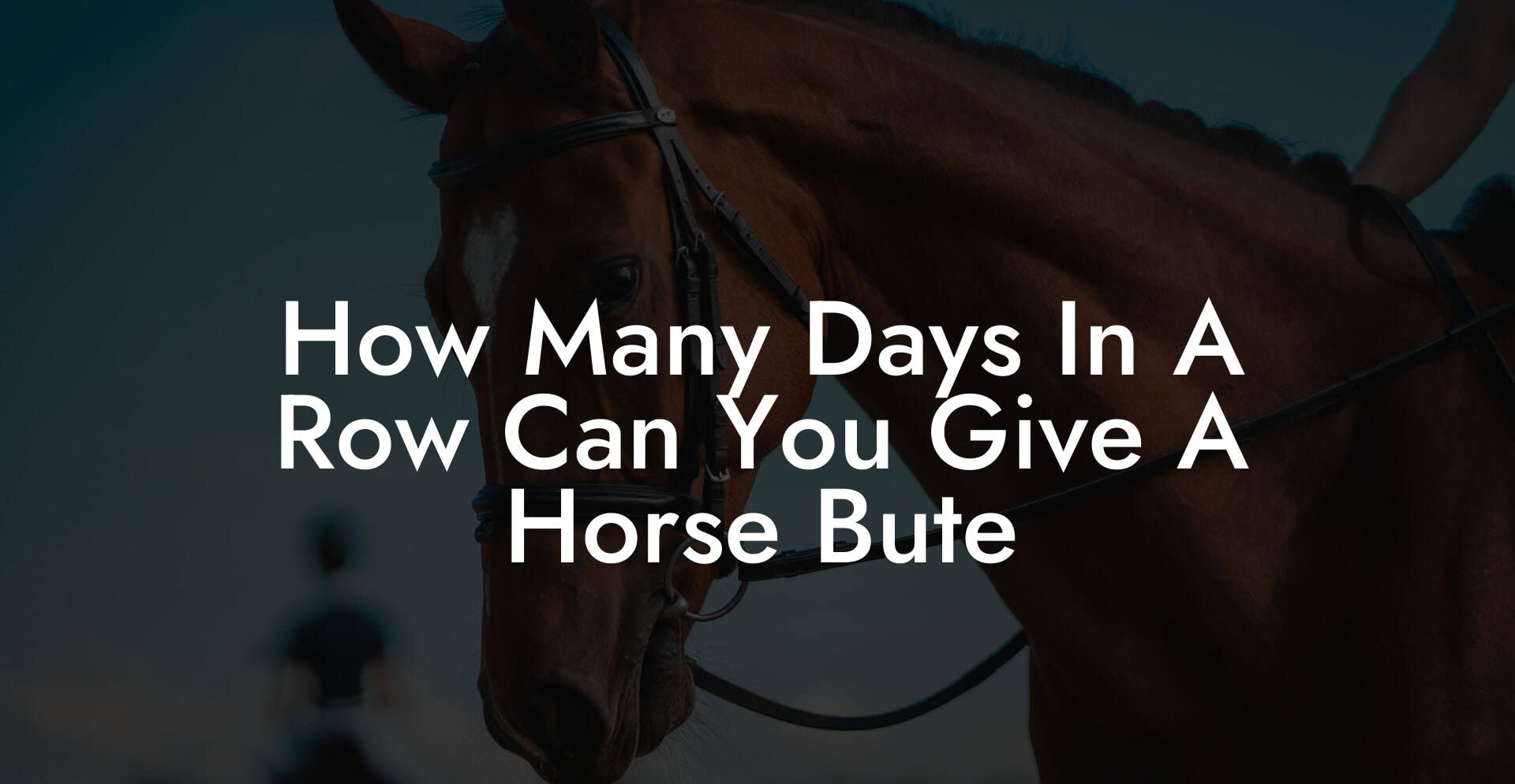 How Many Days In A Row Can You Give A Horse Bute