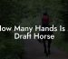 How Many Hands Is A Draft Horse