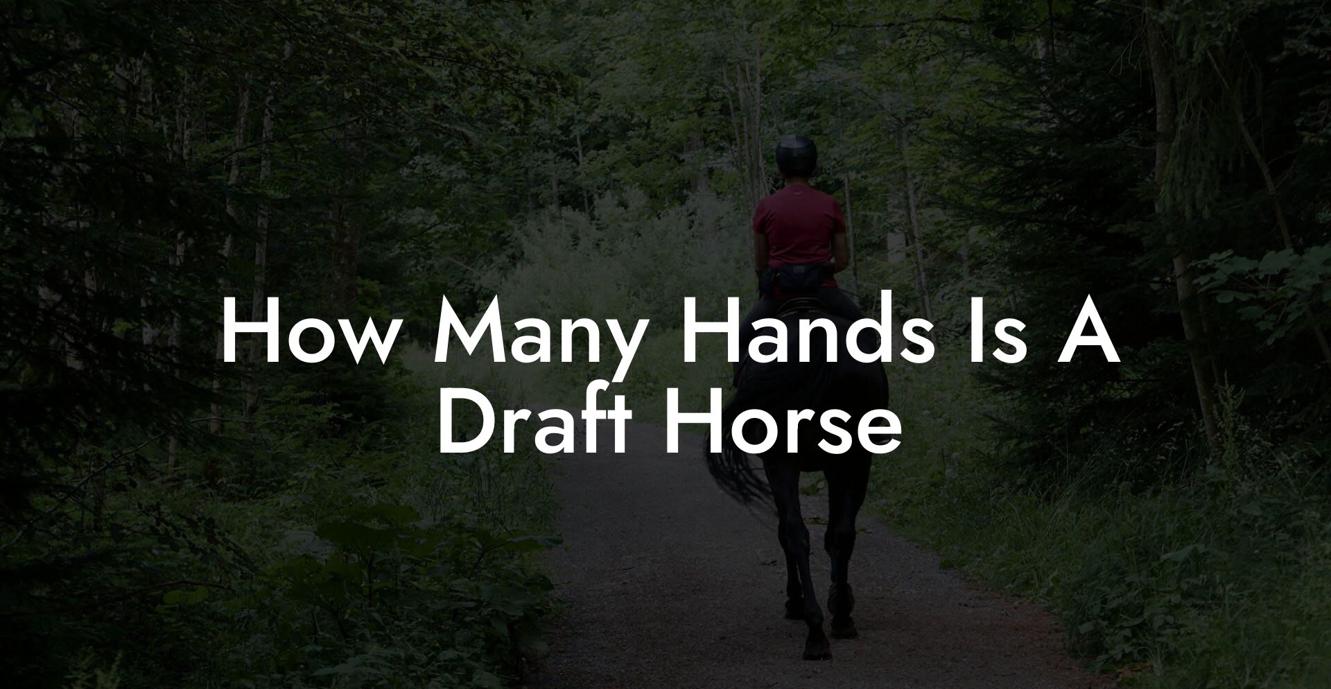 How Many Hands Is A Draft Horse