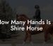How Many Hands Is A Shire Horse