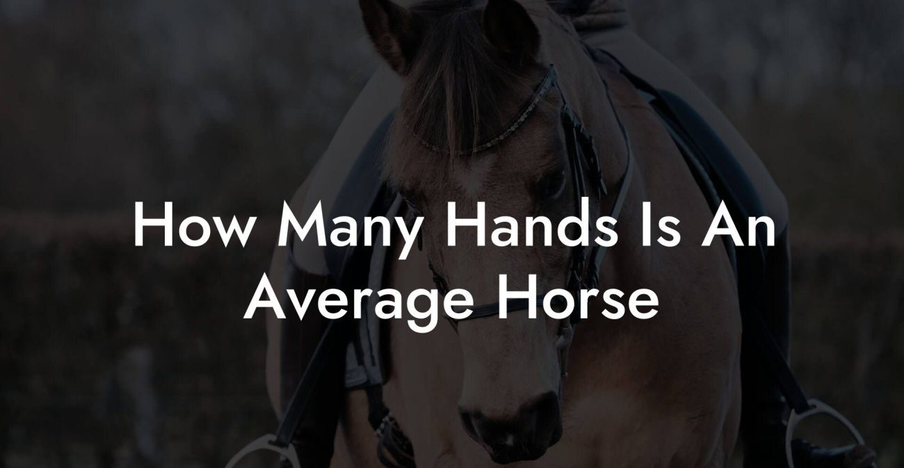 How Many Hands Is An Average Horse