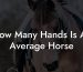 How Many Hands Is An Average Horse