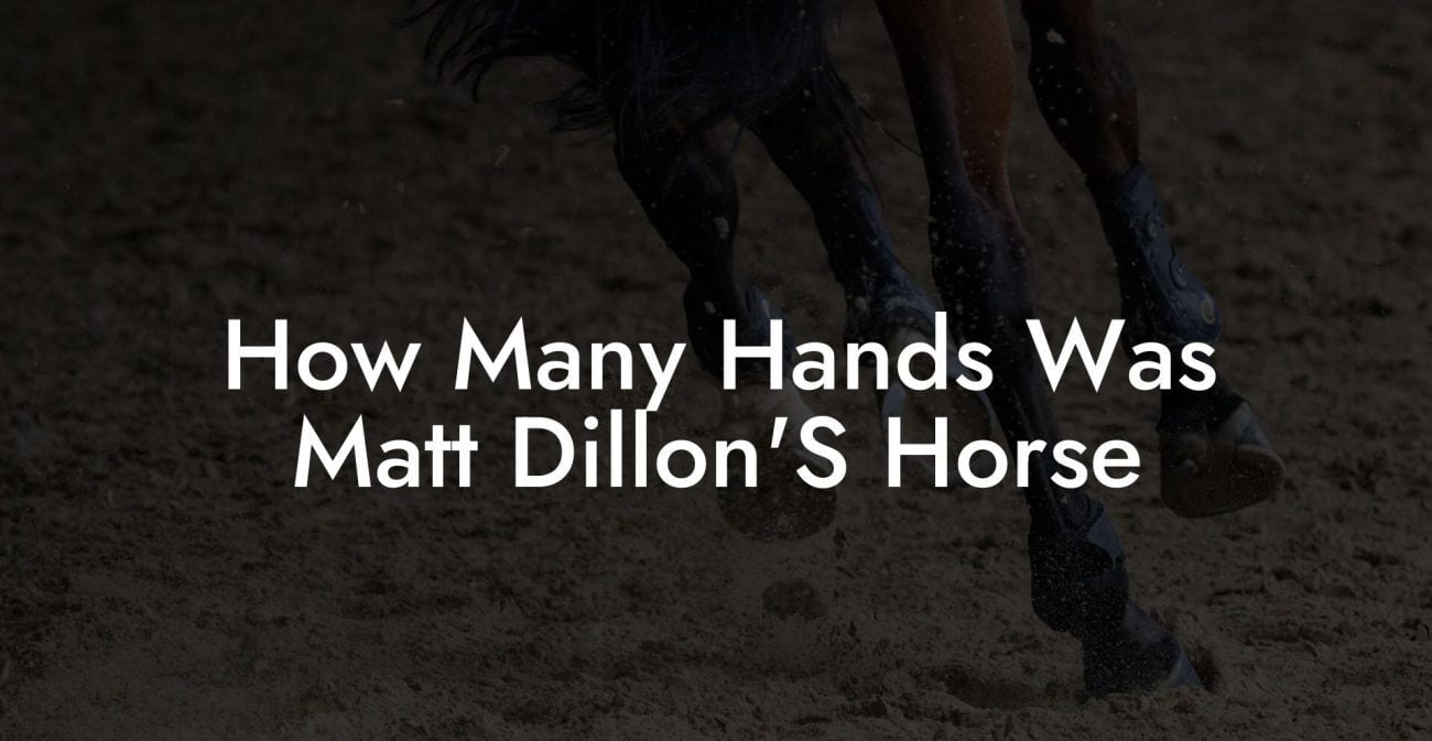 How Many Hands Was Matt Dillon'S Horse