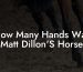 How Many Hands Was Matt Dillon'S Horse