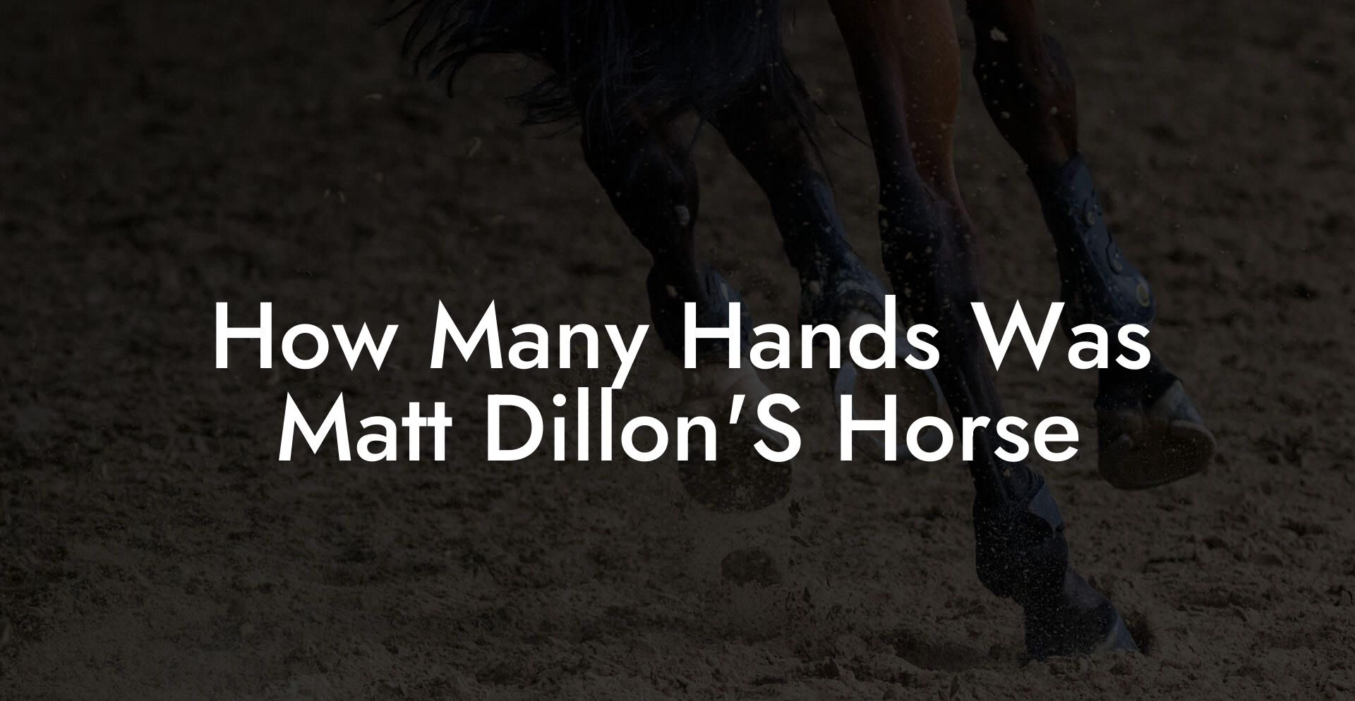 How Many Hands Was Matt Dillon'S Horse
