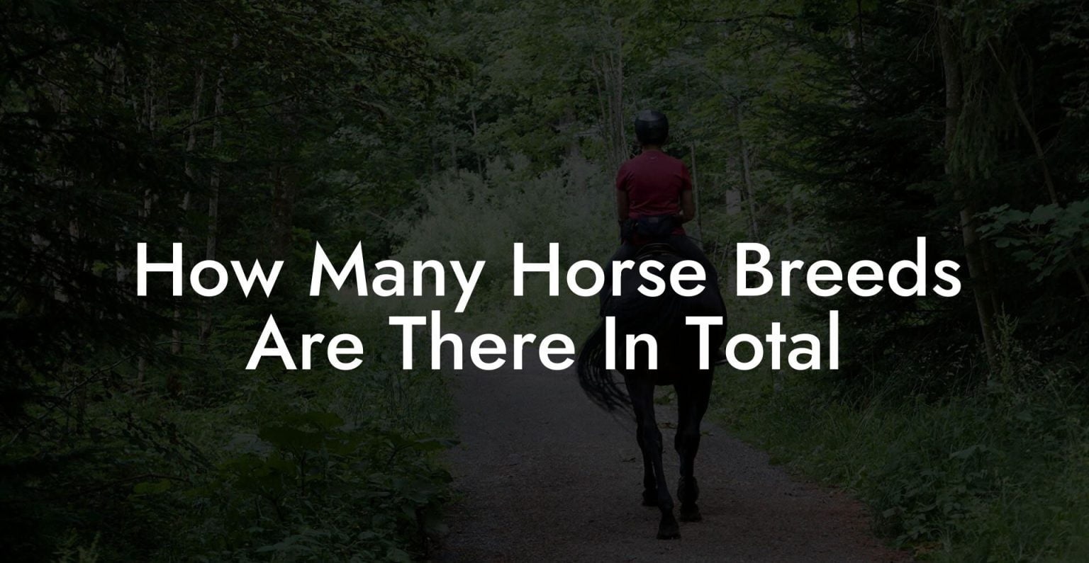 How Many Horse Breeds Are There In Total How To Own a Horse