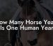 How Many Horse Years Is One Human Year