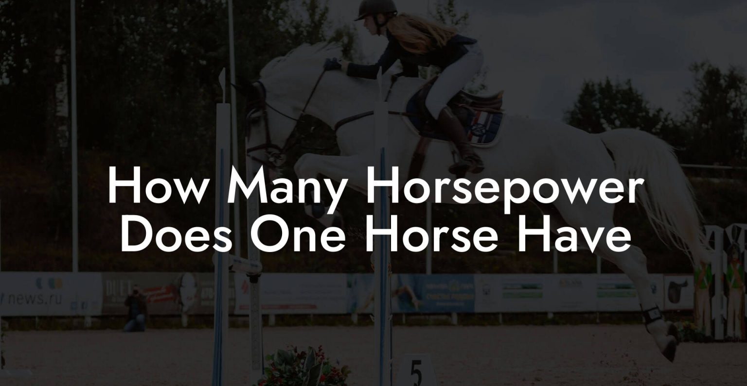 How Many Horsepower Does One Horse Have - How To Own A Horse