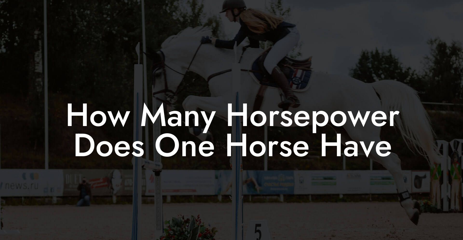 How Many Horsepower Does One Horse Have