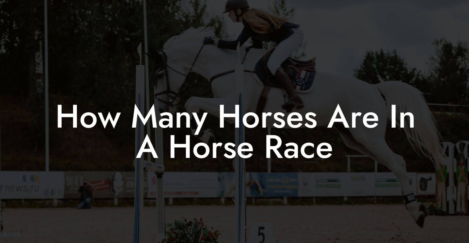 How Many Horses Are In A Horse Race How To Own a Horse