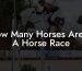 How Many Horses Are In A Horse Race