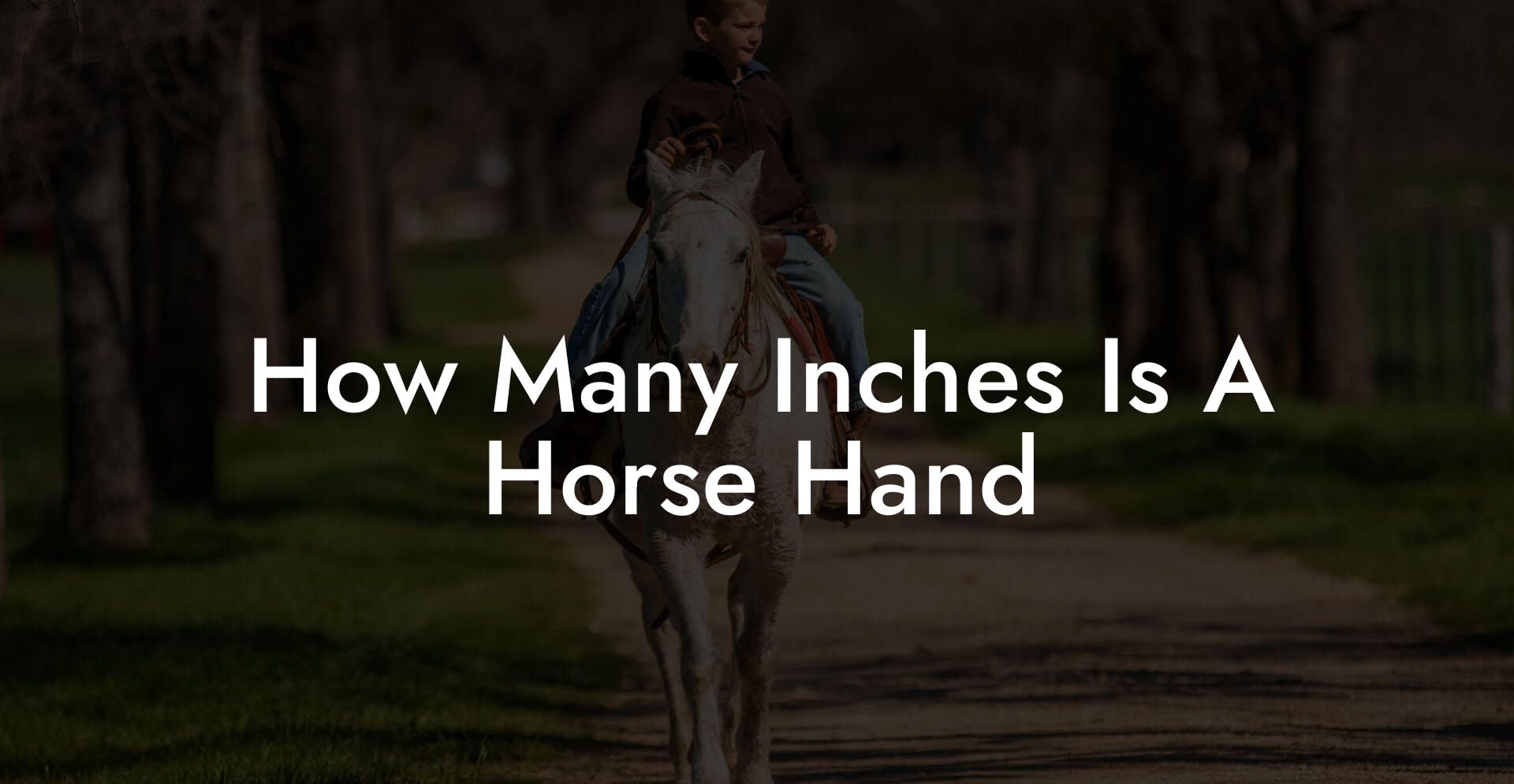 How Many Inches Is A Horse Hand