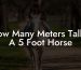How Many Meters Tall Is A 5 Foot Horse