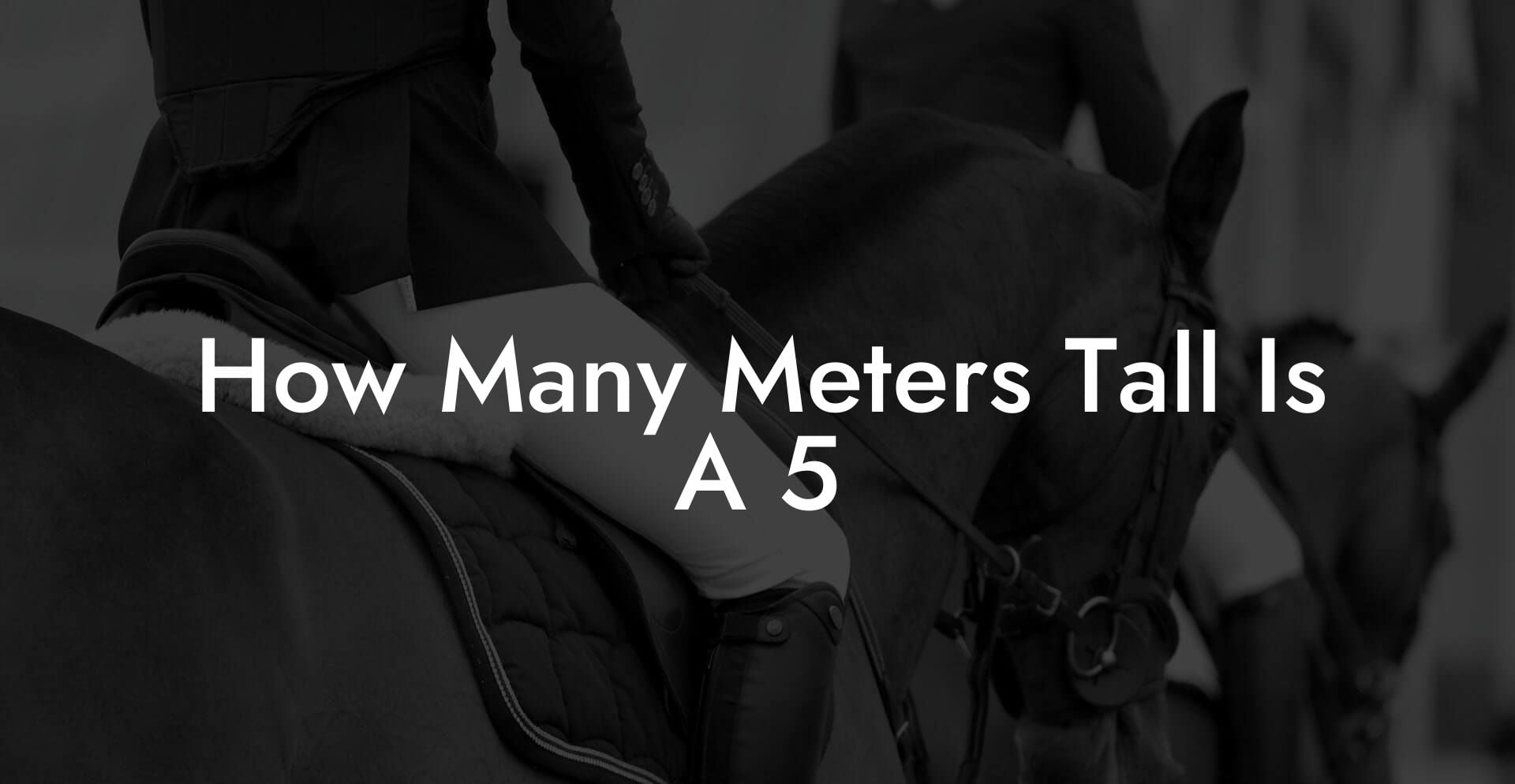 How Many Meters Tall Is A 5 - How To Own a Horse