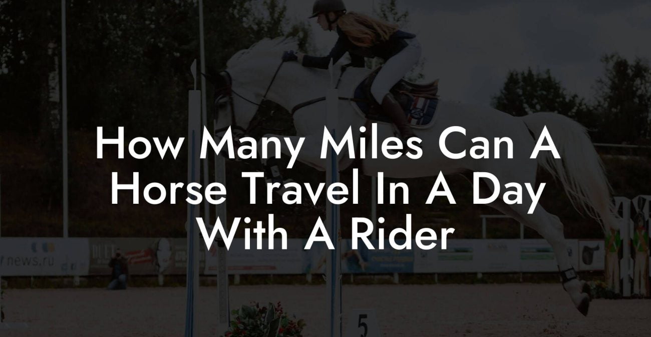 How Many Miles Can A Horse Travel In A Day With A Rider