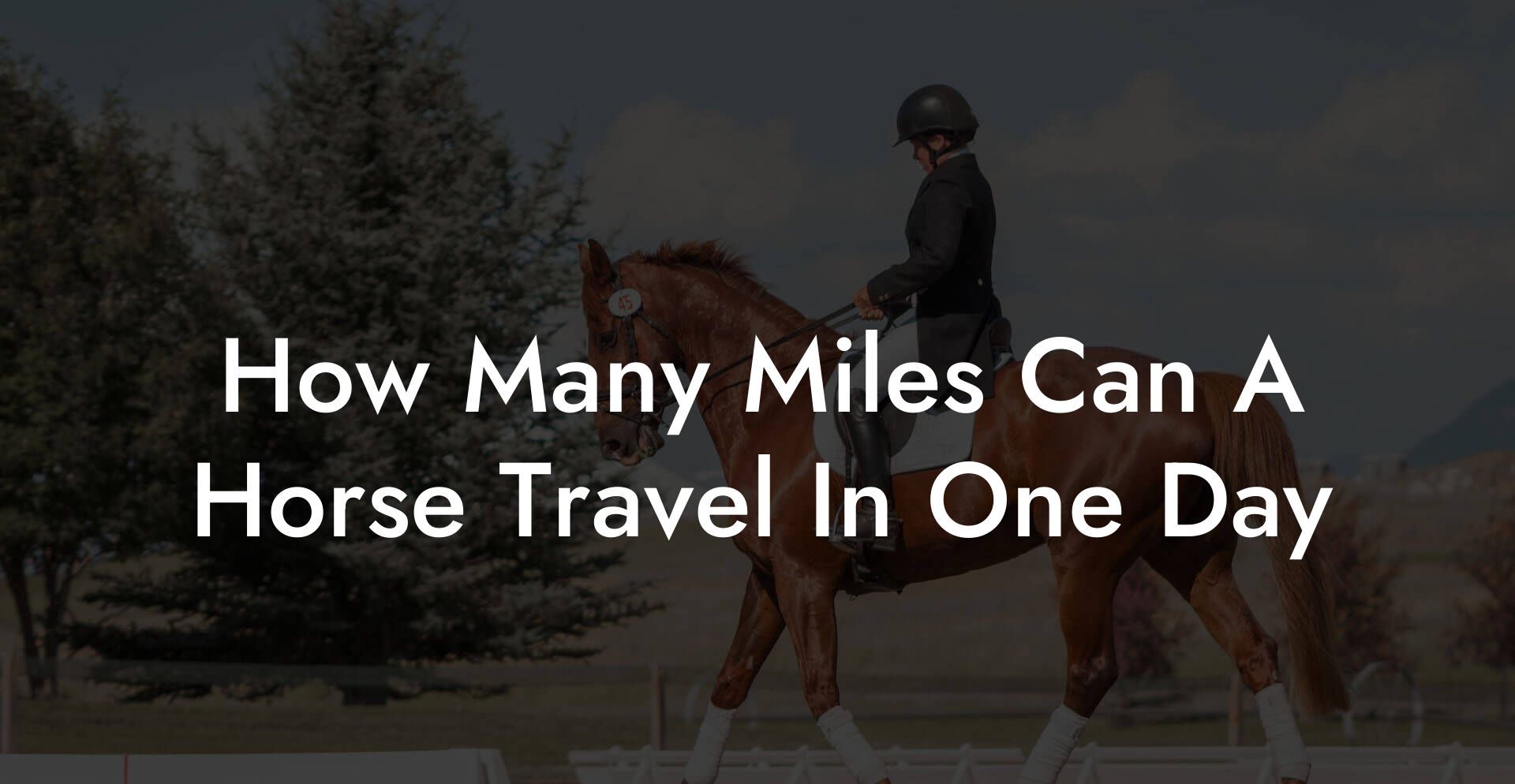 How Many Miles Can A Horse Travel In One Day