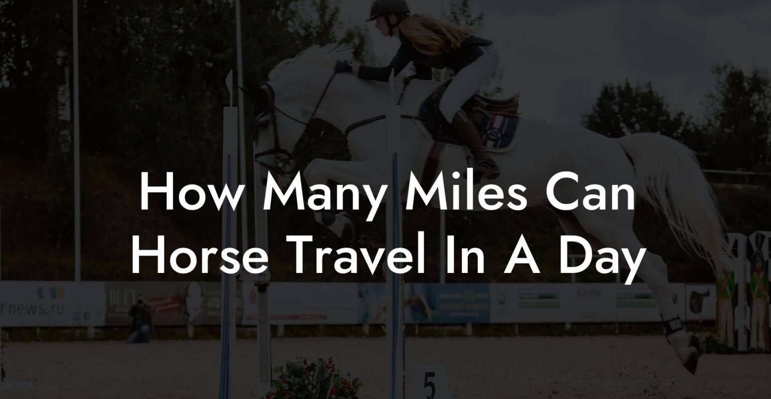 how long can a horse live