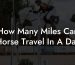 How Many Miles Can Horse Travel In A Day