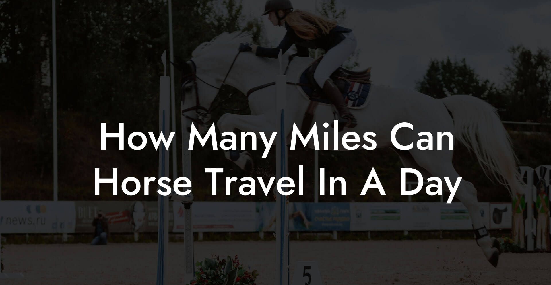 How Many Miles Can Horse Travel In A Day