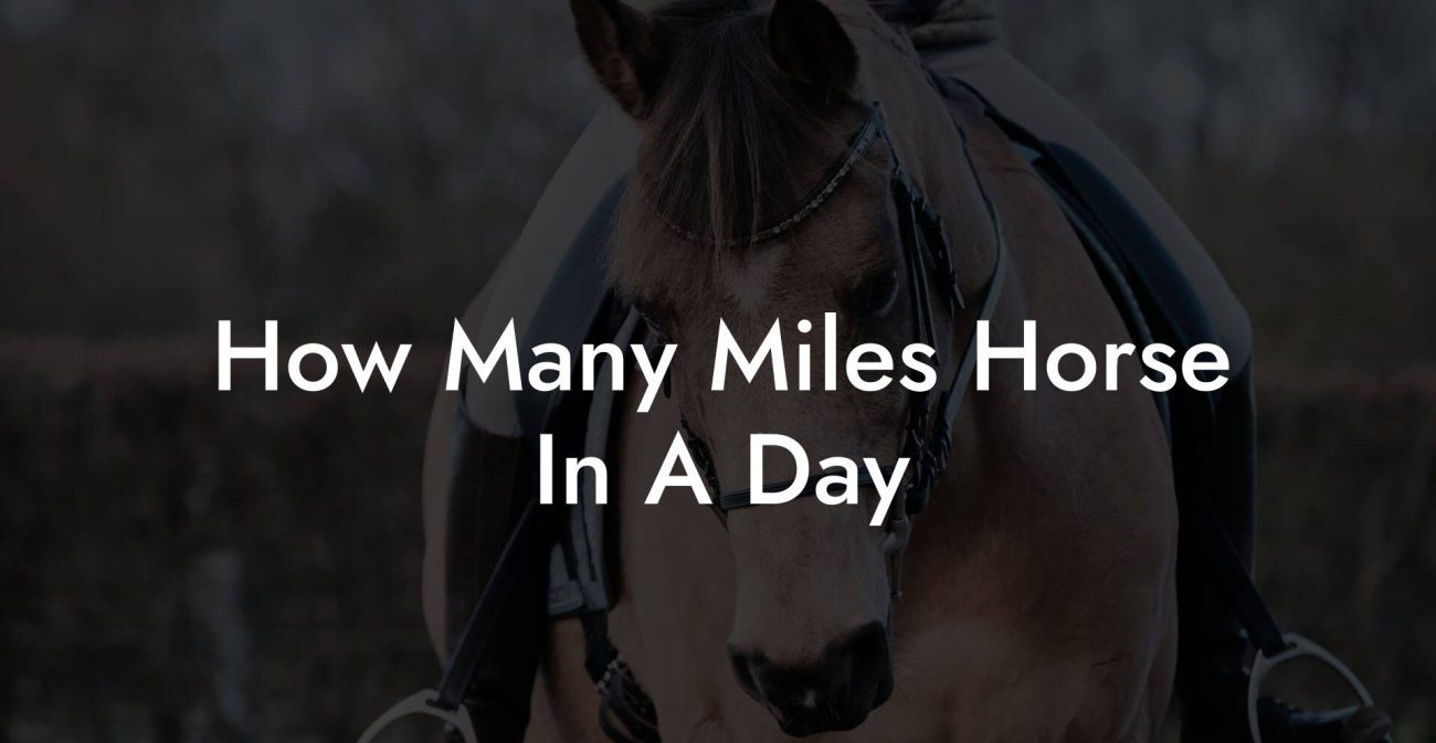 How Many Miles Horse In A Day