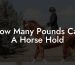 How Many Pounds Can A Horse Hold