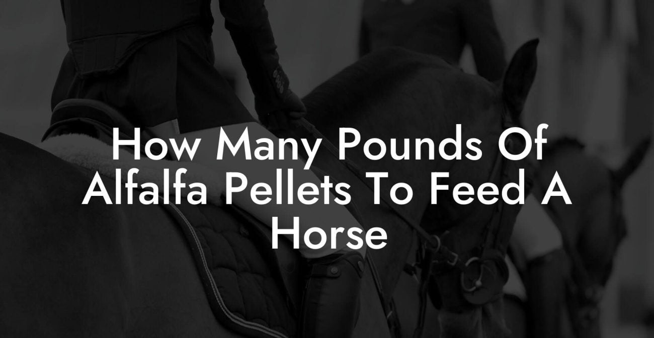 How Many Pounds Of Alfalfa Pellets To Feed A Horse