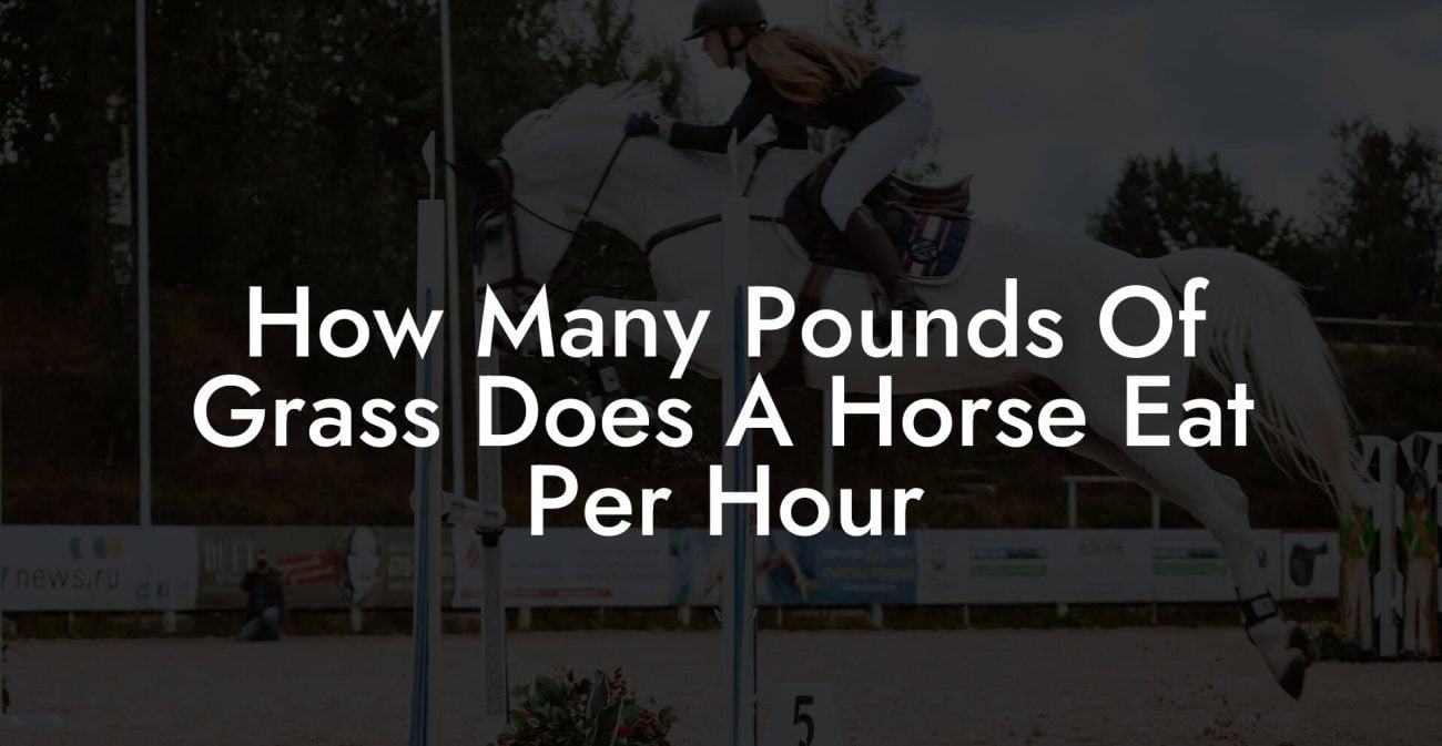 How Many Pounds Of Grass Does A Horse Eat Per Hour