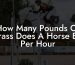 How Many Pounds Of Grass Does A Horse Eat Per Hour