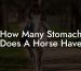 How Many Stomach Does A Horse Have