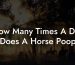 How Many Times A Day Does A Horse Poop
