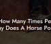 How Many Times Per Day Does A Horse Poop