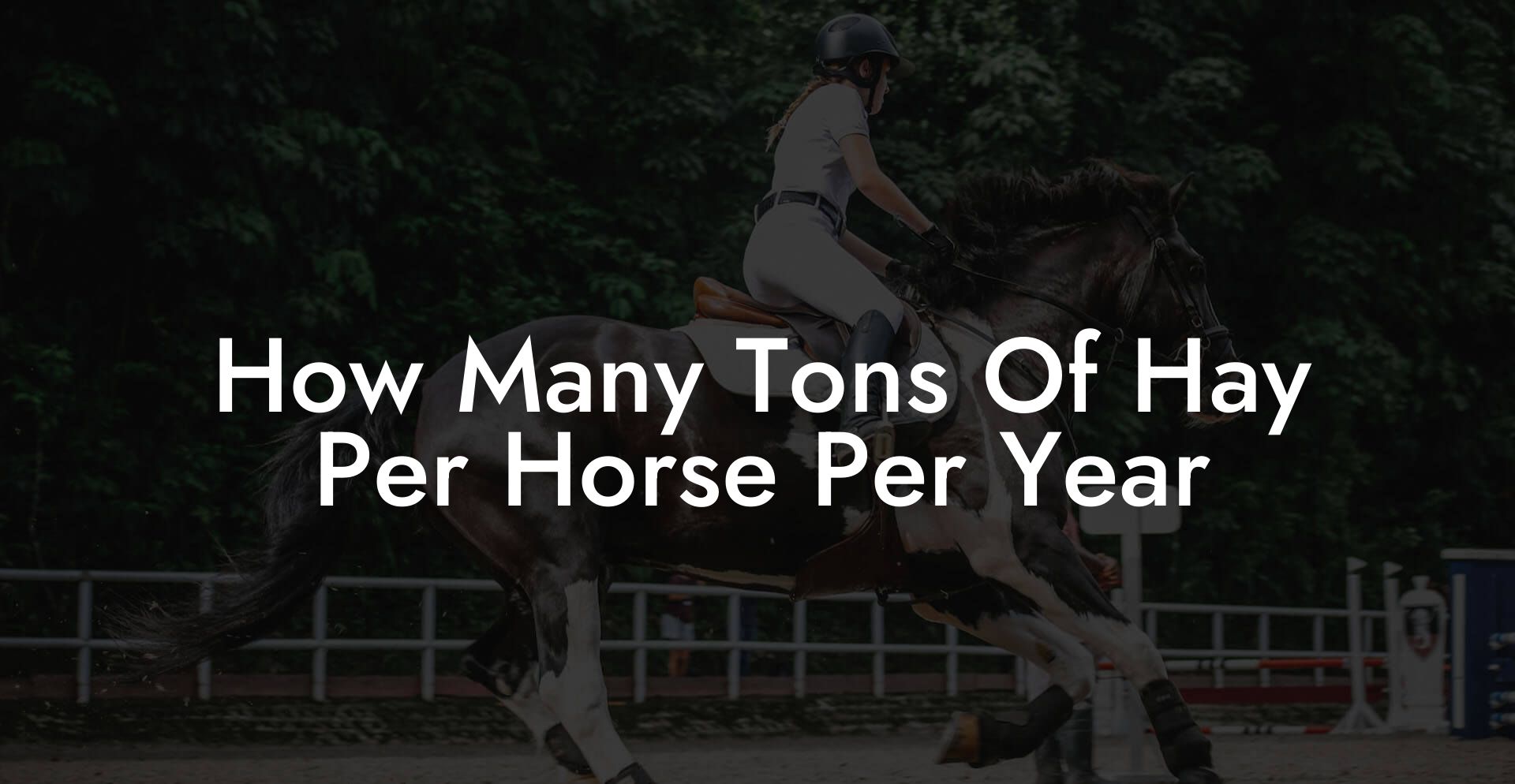 How Many Tons Of Hay Per Horse Per Year