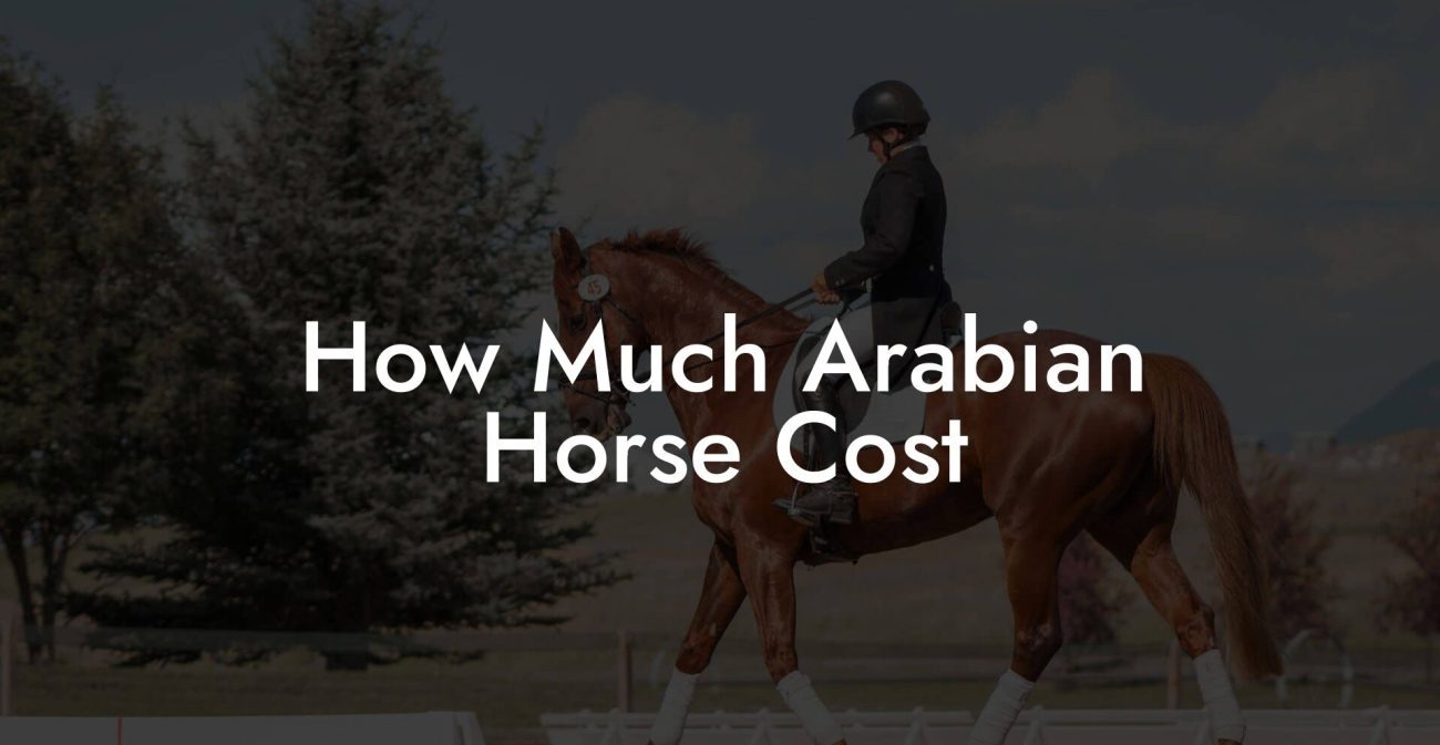 How Much Arabian Horse Cost